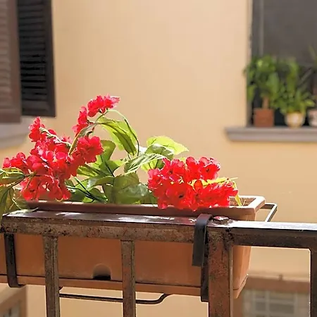B&B Matida