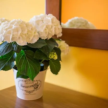 Matida Bed & Breakfast 3*