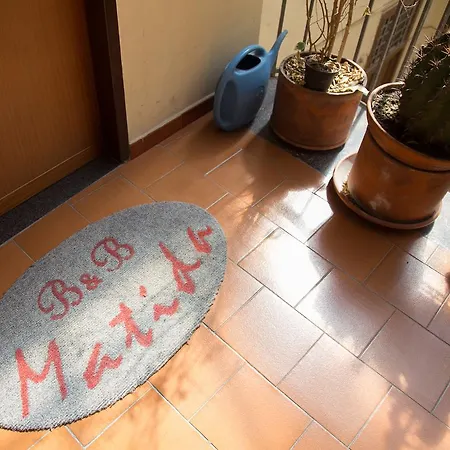 Matida *